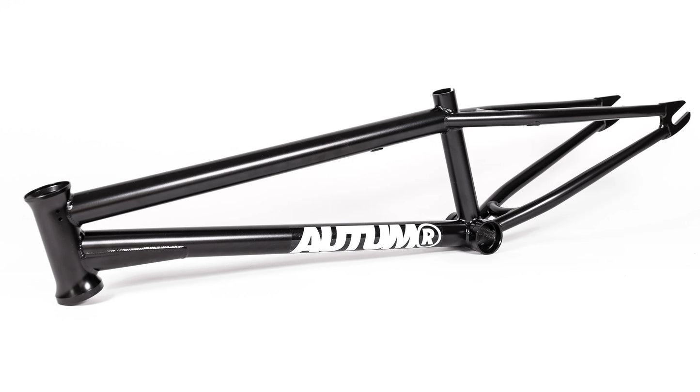 Autum Razzia V3 Frame (19.3")