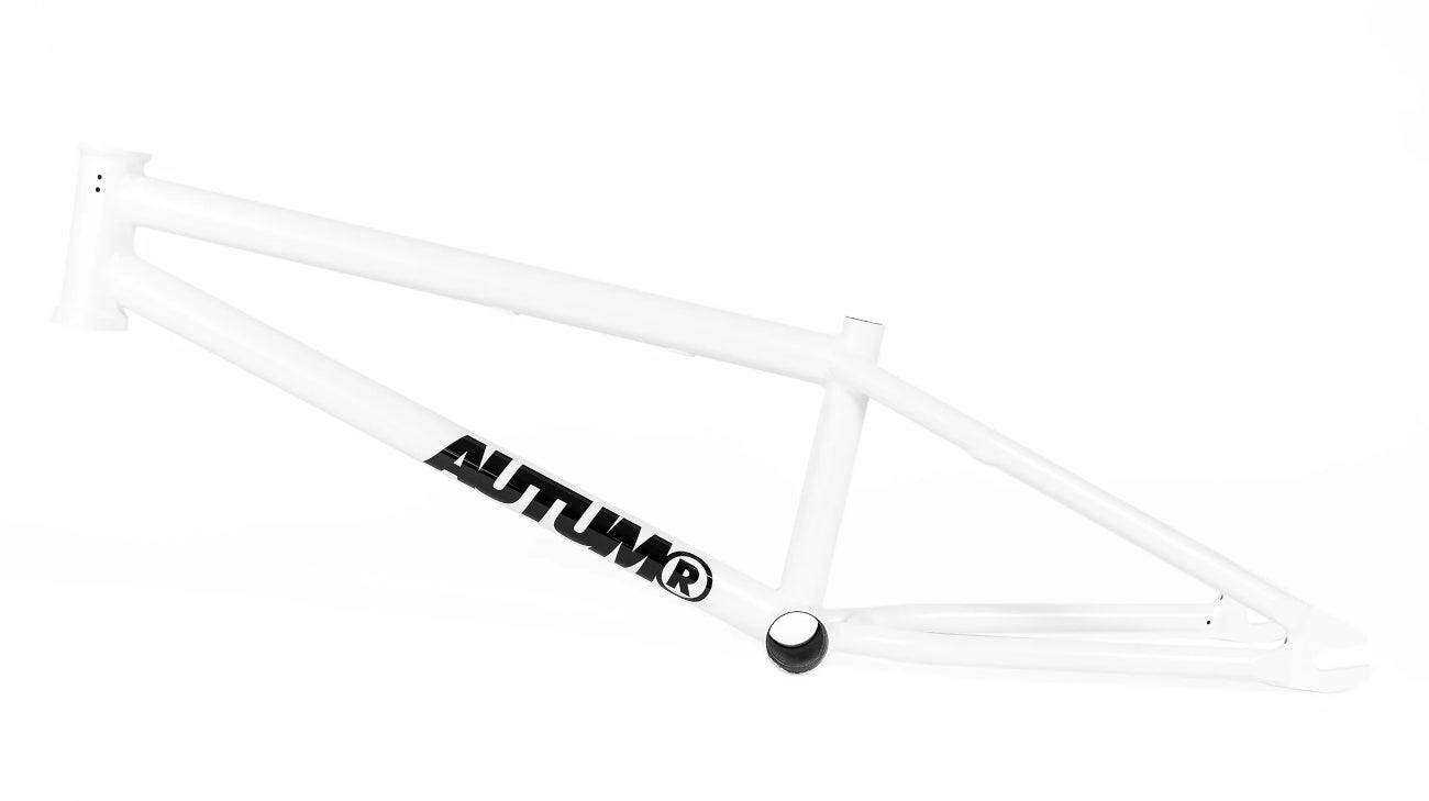 Autum Razzia V3 Frame (19.3")