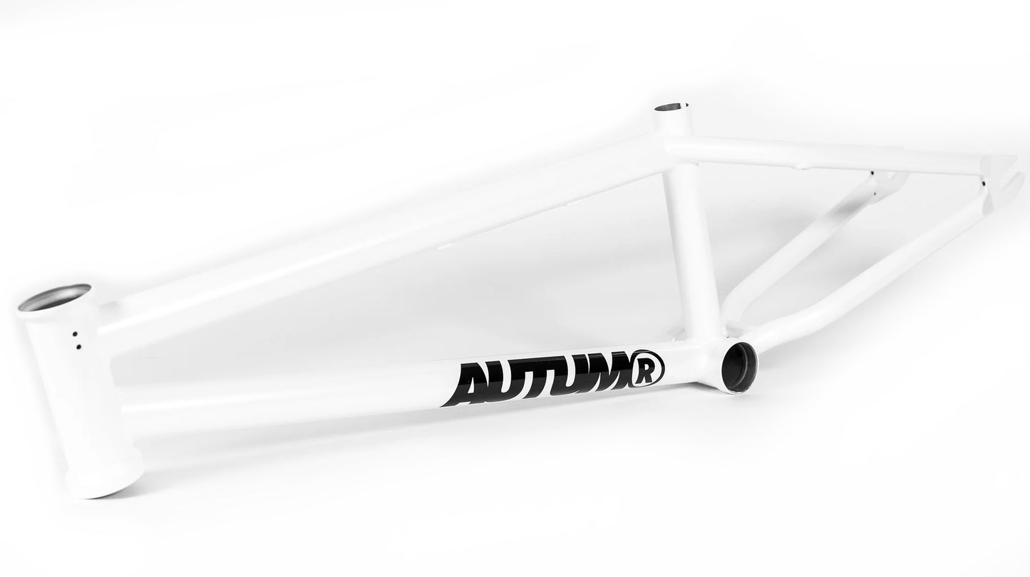 Autum Razzia V3 Frame (19.3")