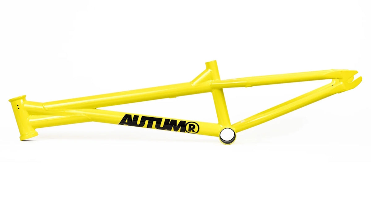 Autum 2024 The Blitz V3 Frame (18.7 & 19.3")